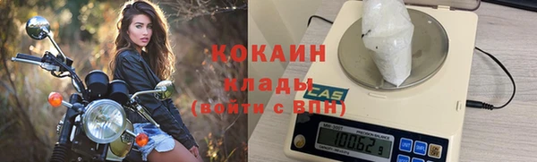 стаф Ладушкин