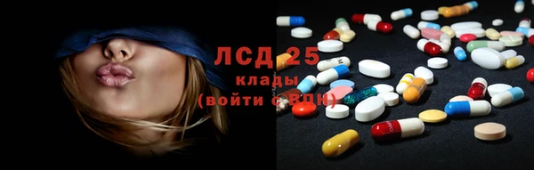 стаф Ладушкин