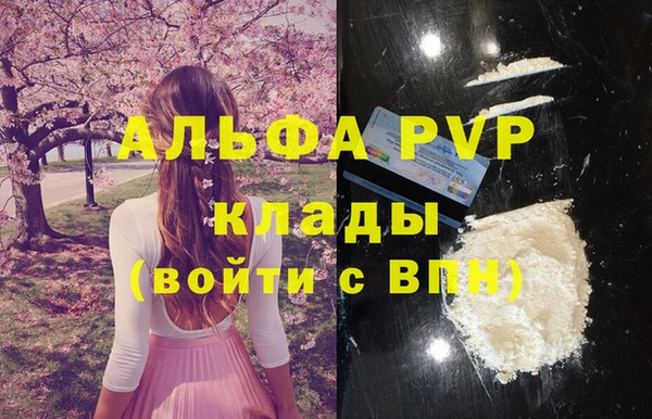 стаф Ладушкин