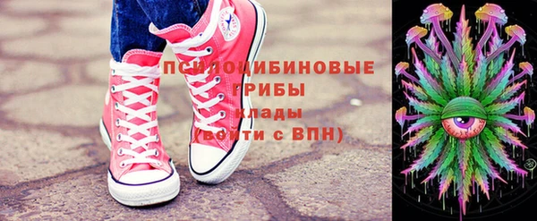 гидропоника Лагань
