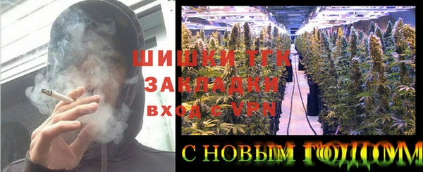 стаф Ладушкин